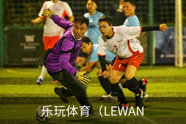 乐玩体育（LEWAN公司简介
